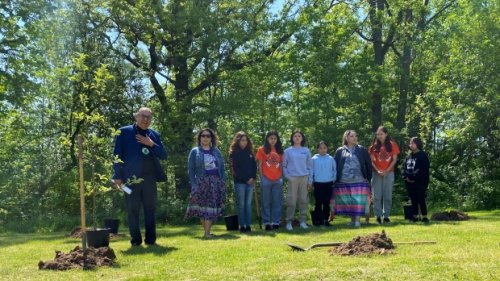 Apple trees planted at former residential school in Brantford, Ont.