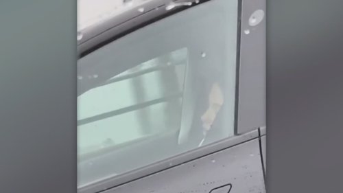 Video shows Tesla crossing busy Vancouver bridge with driver apparently asleep