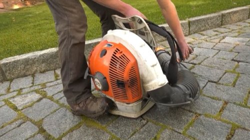 Rats, mice and higher strata fees: A critic's warning about proposed leaf-blower ban in Vancouver