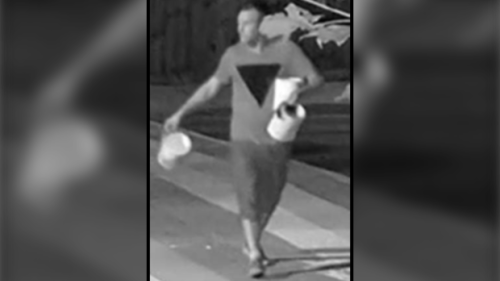 Wasaga Beach Pride crosswalk vandalized