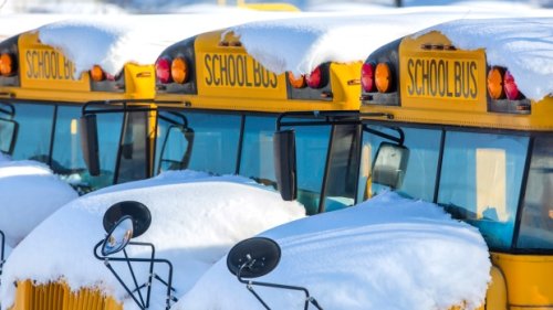 Toronto students to do remote learning Monday if schools close due to snow storm
