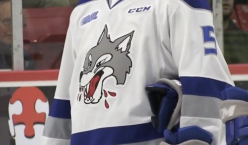 Sudbury Wolves have 12 players with COVID-19, all team activities suspended