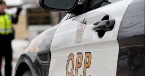 Peterborough man dies in head-on Hwy. 7 crash