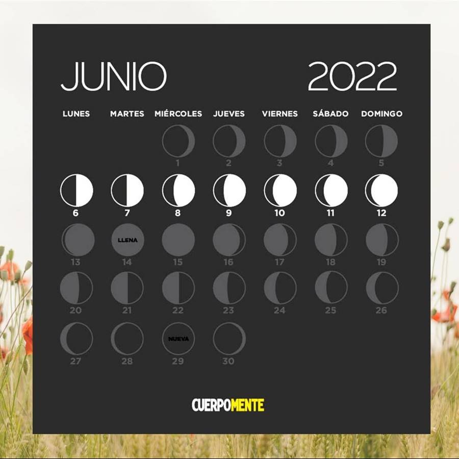 Calendario lunar - cover