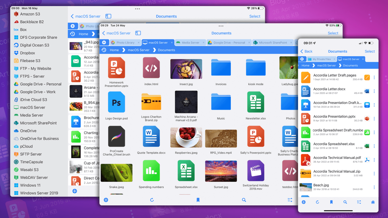 FileBrowser Professional Manage iPad files across network and cloud