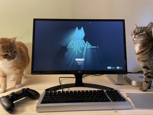 Meow! Stray proves great gaming can happen on a Mac [Review]