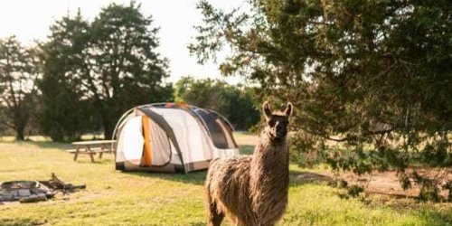 Texas ranch tops America's best campsites and more San Antonio stories