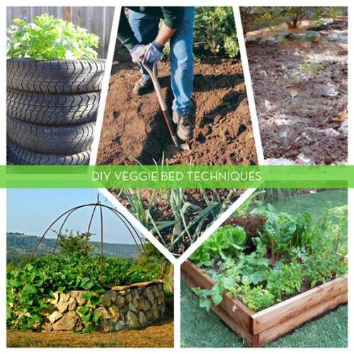 5 DIY Techniques for Creating Productive Vegetable Gardening Beds