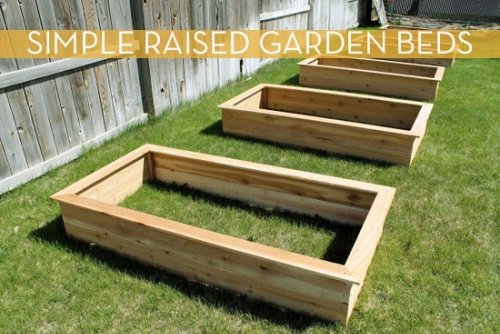 Make It: Raised Garden Beds In Under Three Hours