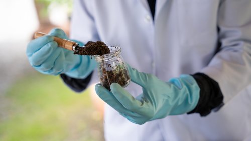 Santé : un nouvel antibiotique découvert dans le sol d’un jardin - Curieux!