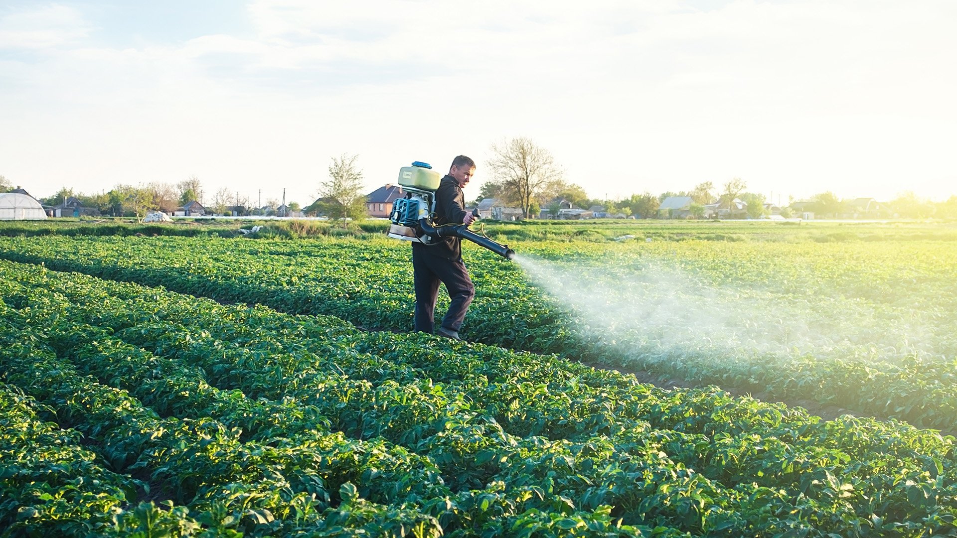 Ces pays qui ont réussi à réduire pesticides et engrais chimiques en accompagnant les agriculteurs – Curieux!