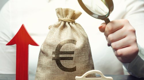 L'euro a-t-il fait grimper les prix ? - Curieux!
