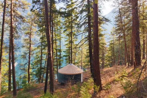 10 off-the-grid cabins to visit in B.C. for a rejuvenating spring getaway