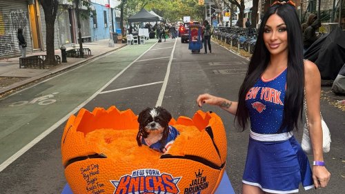 5 Costumes From The 2026 NYC Halloween Dog Parade That Are Just Our Pup Of Tea