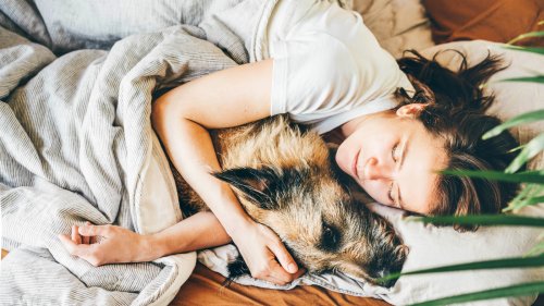 Pet Parenting - cover