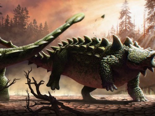 Un fossile de 76 millions d'années révèle comment les dinosaures « blindés » utilisaient leur queue comme massue