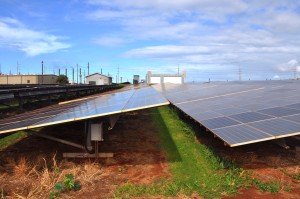 Solar Power Takes Up A Lot Of Land. Here’s How It Can Be More Ecologically Beneficial