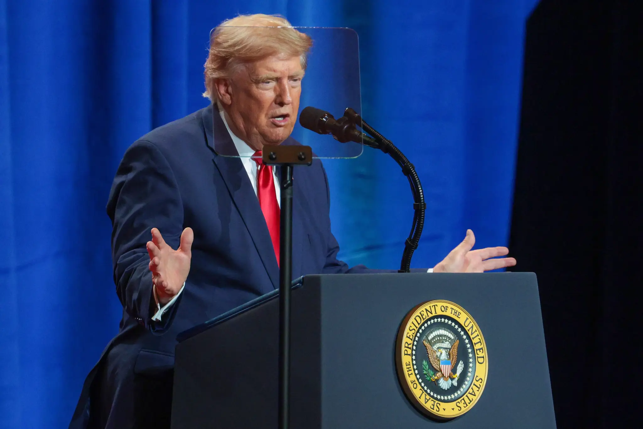 Donald Trump’s biographer Michael Wolff says there’s “nothing” under president’s hair amid new hair controversy
