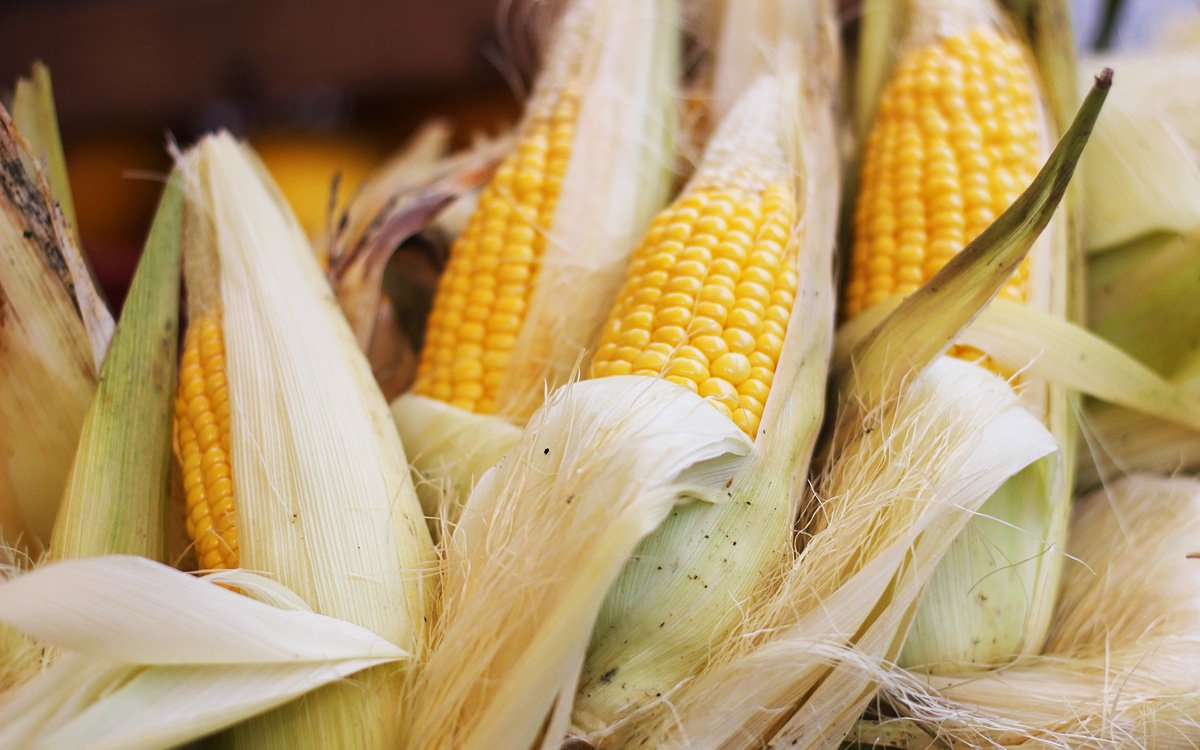 8 Tips for Buying and Storing Corn