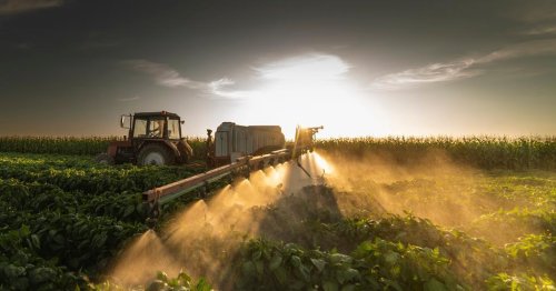 The glyphosate debate