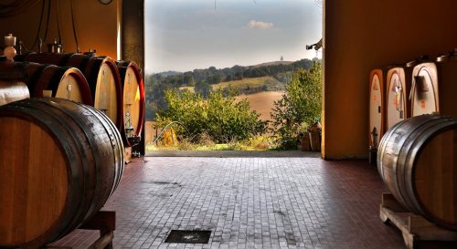 Wines from Emilia-Romagna | Emilia Romagna Tourism