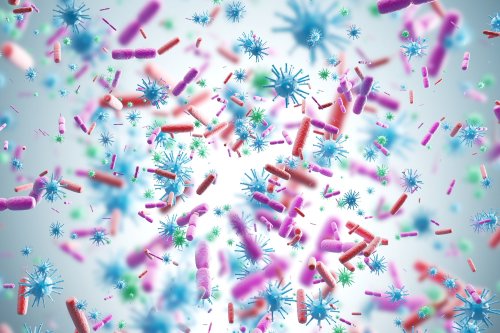 Rethinking the germ theory: A balanced take on microbes and disease outcomes