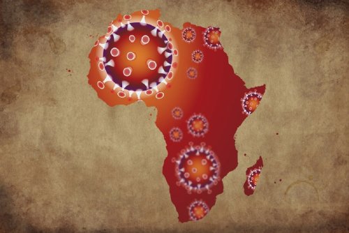 Study indicates that cross-reactive immunity against SARS-CoV-2 N protein was present in Africa prior to the pandemic