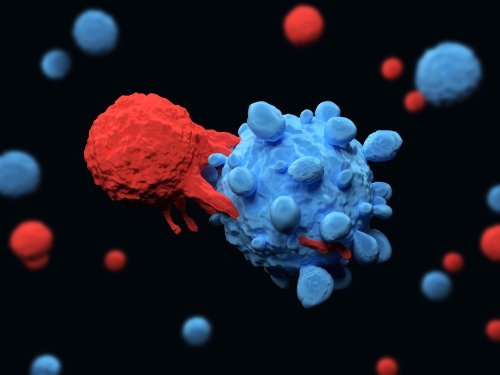 CAR T cell Therapy In Colorectal Cancer Flipboard