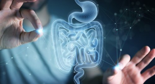 Study examines role of exercise on gut microbiome in middle-aged adults