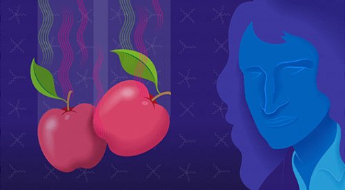 How Gravity Is a Double Copy of Other Forces | Quanta Magazine