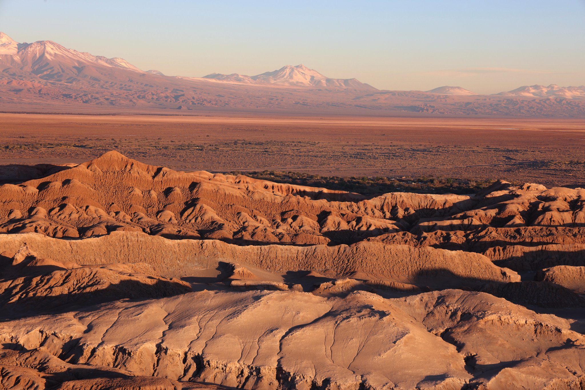 It's one of the oldest and driest deserts in the world, is 5 times drier than the Sahara – and it's about to bloom with