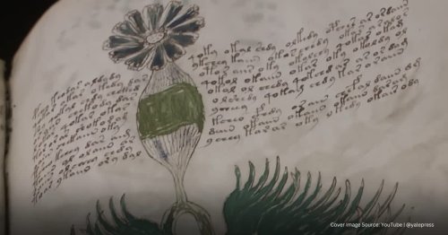 Experts are on an intense chase to uncover the 600-year-old mystery behind Voynich Code