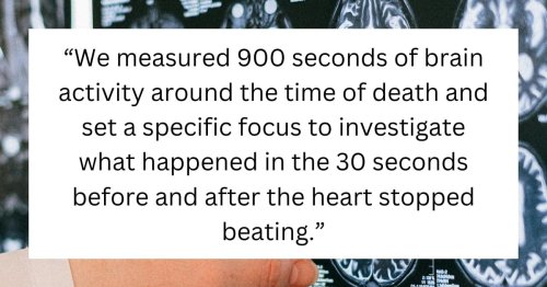 Study explaining what happens immediately after a person dies is taking the world by a storm