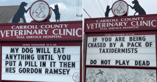 Vet clinic posts hilarious roadside signs to make its customers smile. Here are 25 of our favorites.