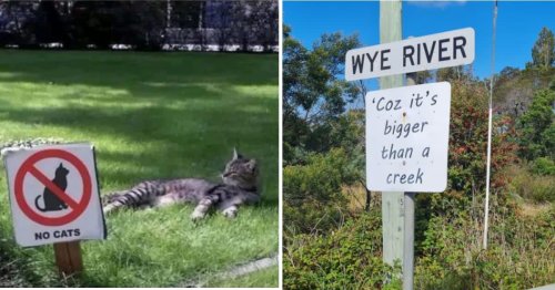 25 hilarious signs that have turned simple messages into absolute comedy gems