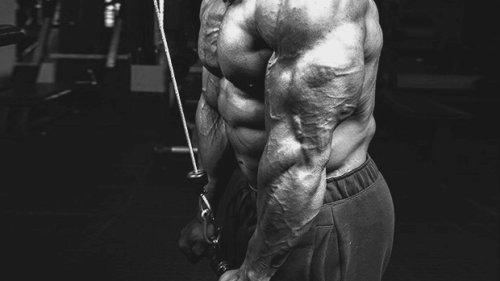 Tip: The Best Exercise Order for Triceps