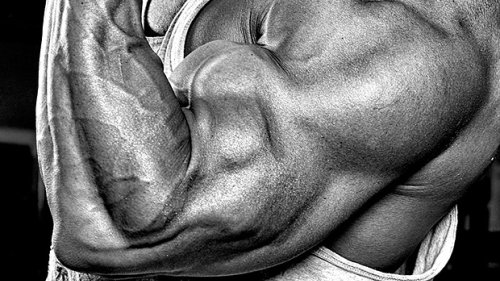 The Perfect Biceps Curl