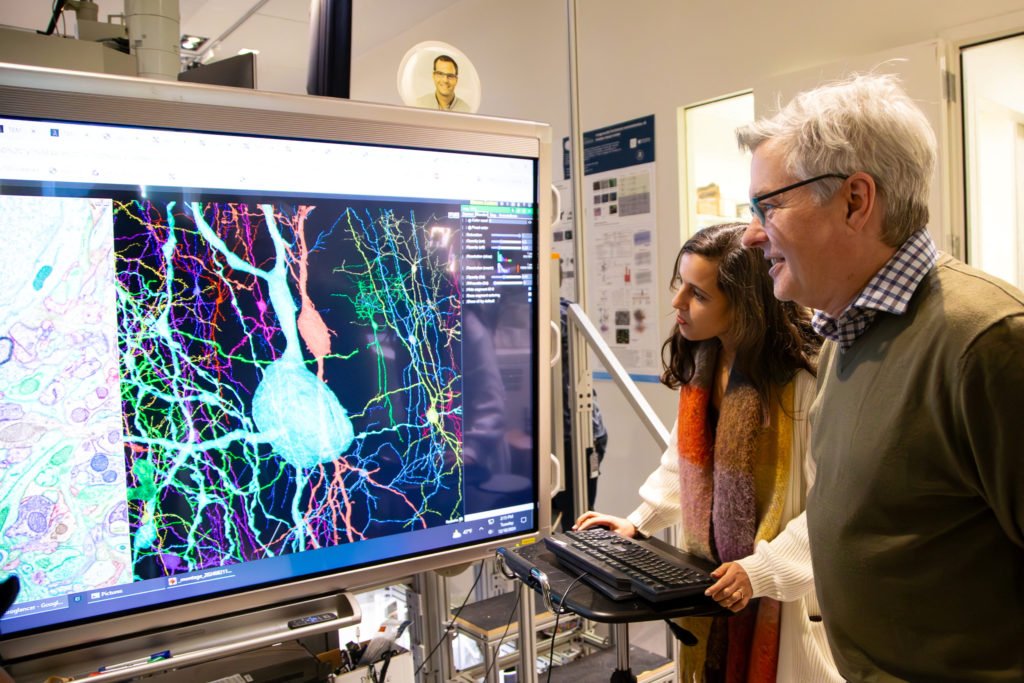 How a mouse watching ‘The Matrix’ helped scientists create the largest map of a brain to date