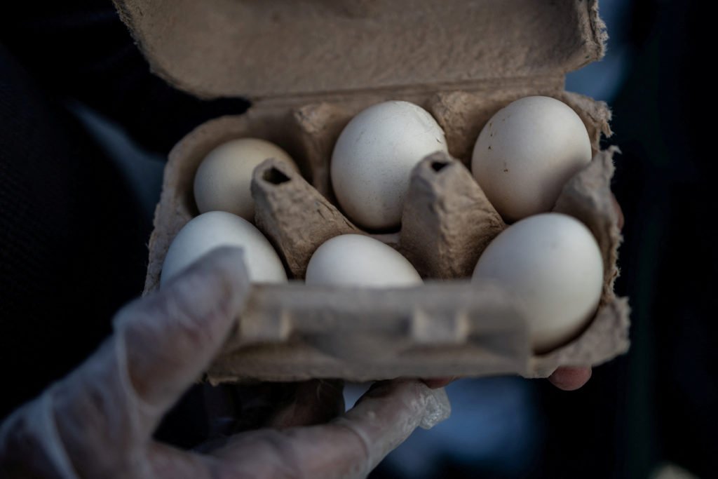 Egg prices increase to record high despite Trump promises and curbing bird flu outbreak