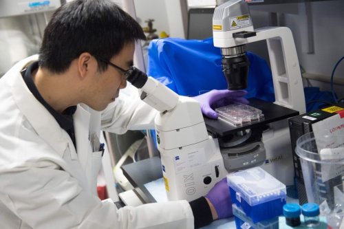 How National Cancer Institute funding cuts could affect the fight against the disease