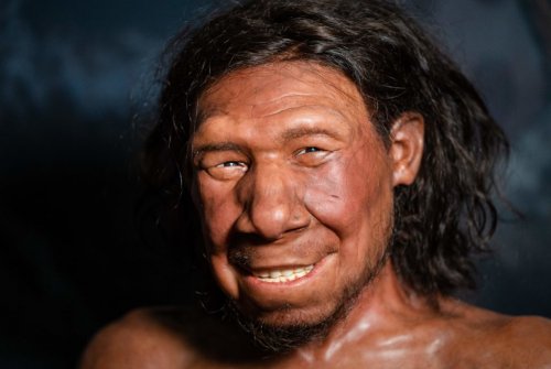 A look at the new discoveries that make Neanderthals more knowable now than ever