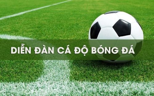 Những tiêu chí đánh giá diễn đàn cá độ bóng đá chất lượng