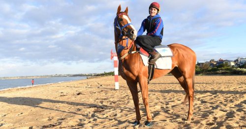 From humble Riverina beginnings, Single Gaze is ready to take on the Melbourne Cup