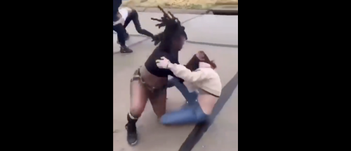 Family Of Teen Arrested For Viral Street Brawl Claims She’s The Victim, Launches Fundraiser