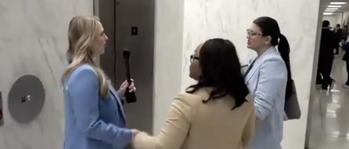 ‘I Don’t Talk To Fox News!’: Rep. Rashida Tlaib Blows Fuse When Reporter Confronts Her