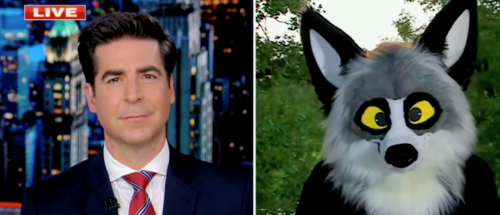 ‘You’re The One Dressed Up As A Raccoon’: Jesse Watters Debates Man Over Children At ‘Furry’ Conventions