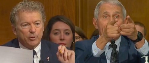 'You Do Not know What You're Talking About': Rand Paul Clashes With Fauci In Tense Capitol Hill …