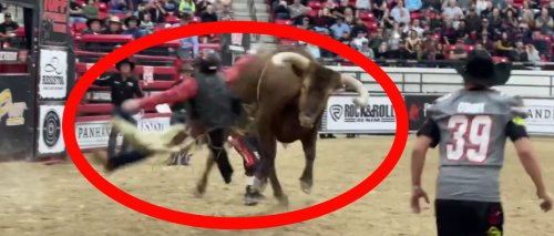 UNLV Football Coach Barry Odom Tries To Ride Bull To Raise Money For Program, Gets Absolutely Thrashed Instead