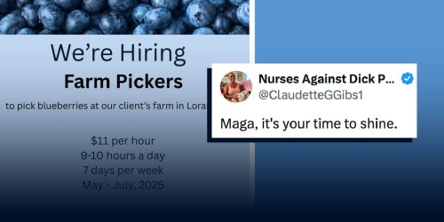 Job Ad Goes Viral For Asking Folks To Slave Away On Farm For Low Pay, Long Hours