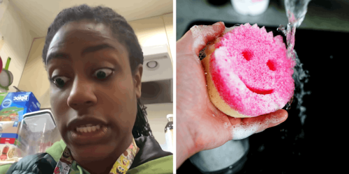 ‘Are they gonna pay rent?!’: Woman orders Scrub Daddy from Costco. Then she sees what she received